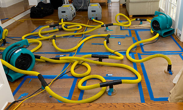 Professional Structural Drying And Dehumidification technician working in Iberia, OH